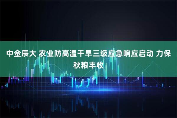 中金辰大 农业防高温干旱三级应急响应启动 力保秋粮丰收