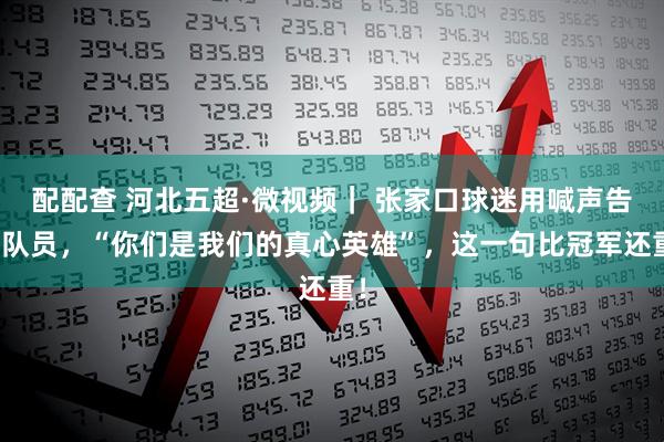 配配查 河北五超·微视频｜ 张家口球迷用喊声告诉队员，“你们是我们的真心英雄”，这一句比冠军还重！