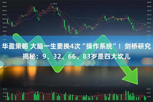 华盈策略 大脑一生要换4次“操作系统”!剑桥研究揭秘:9、32、66、83岁是四大坎儿